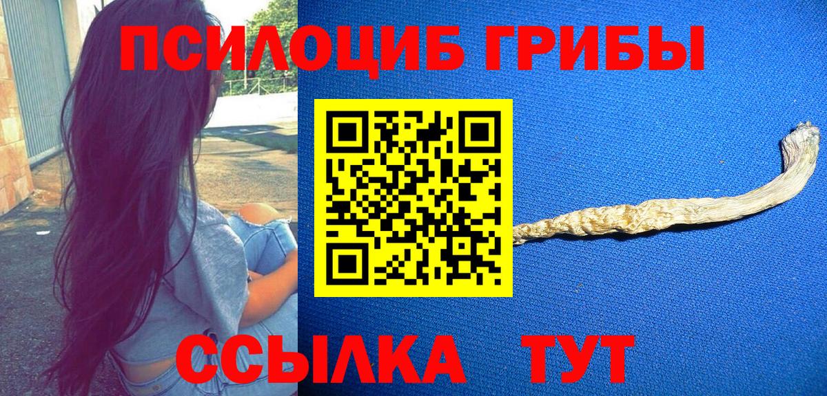 Галлюциногенные грибы Psilocybe Бузулук