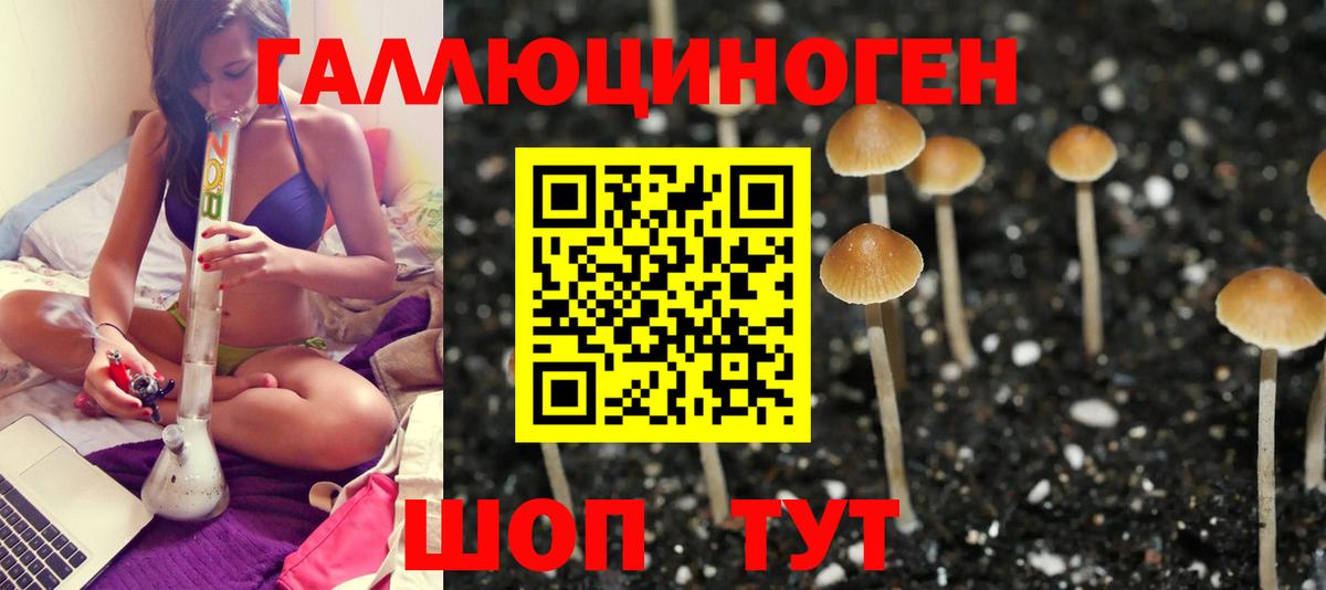 Галлюциногенные грибы Magic Shrooms  Вход с VPN  Бузулук 